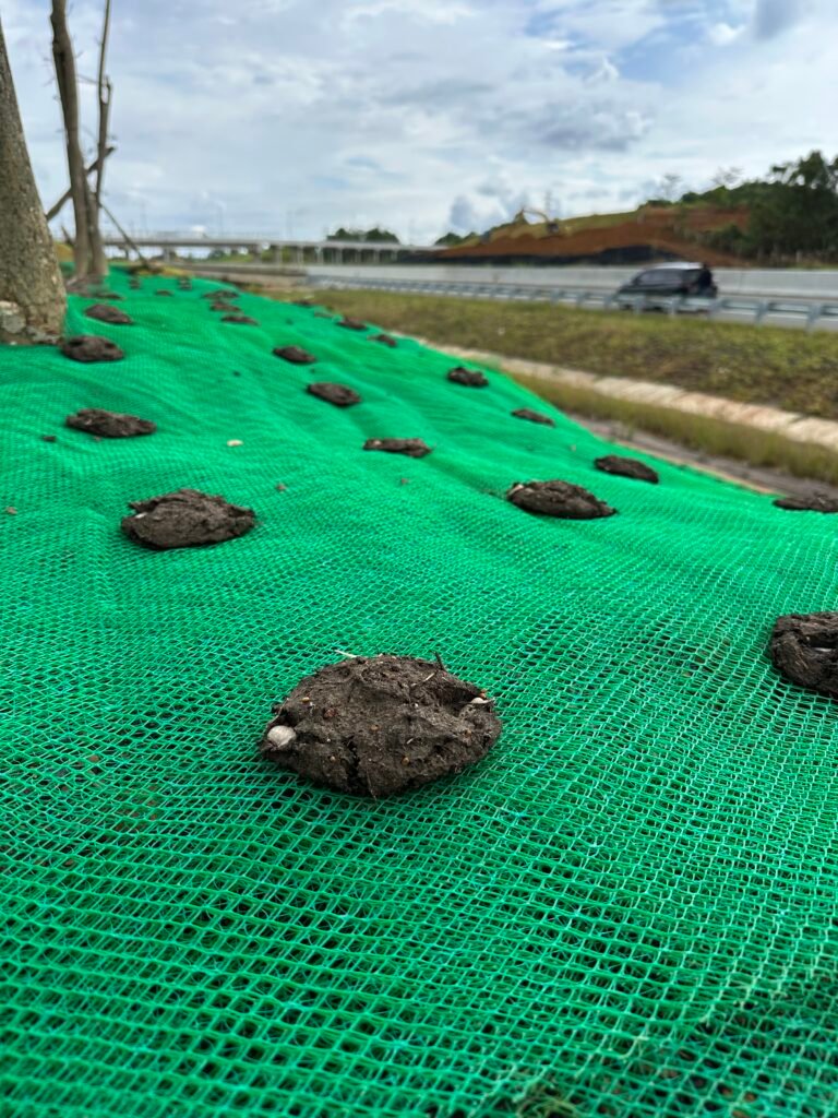 2026_02_04_09_00_IMG_0406