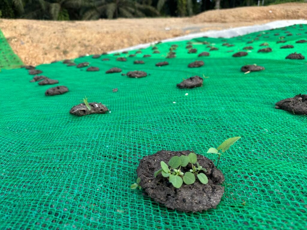 2026_02_05_14_14_IMG_0860