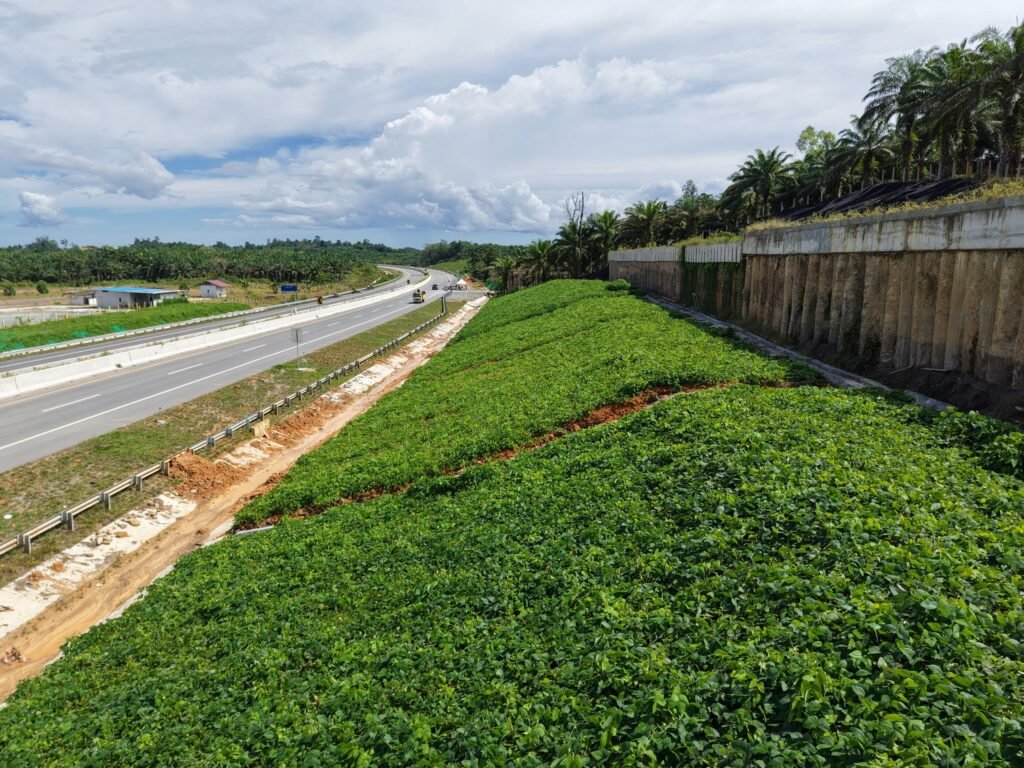 WhatsApp Image 2026-02-26 at 07.28.10