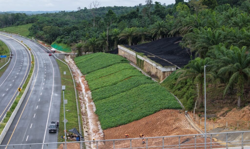 WhatsApp Image 2026-02-26 at 07.28.11