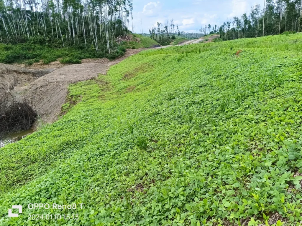 Proteksi Erosi Lereng Hydroseeding (3)
